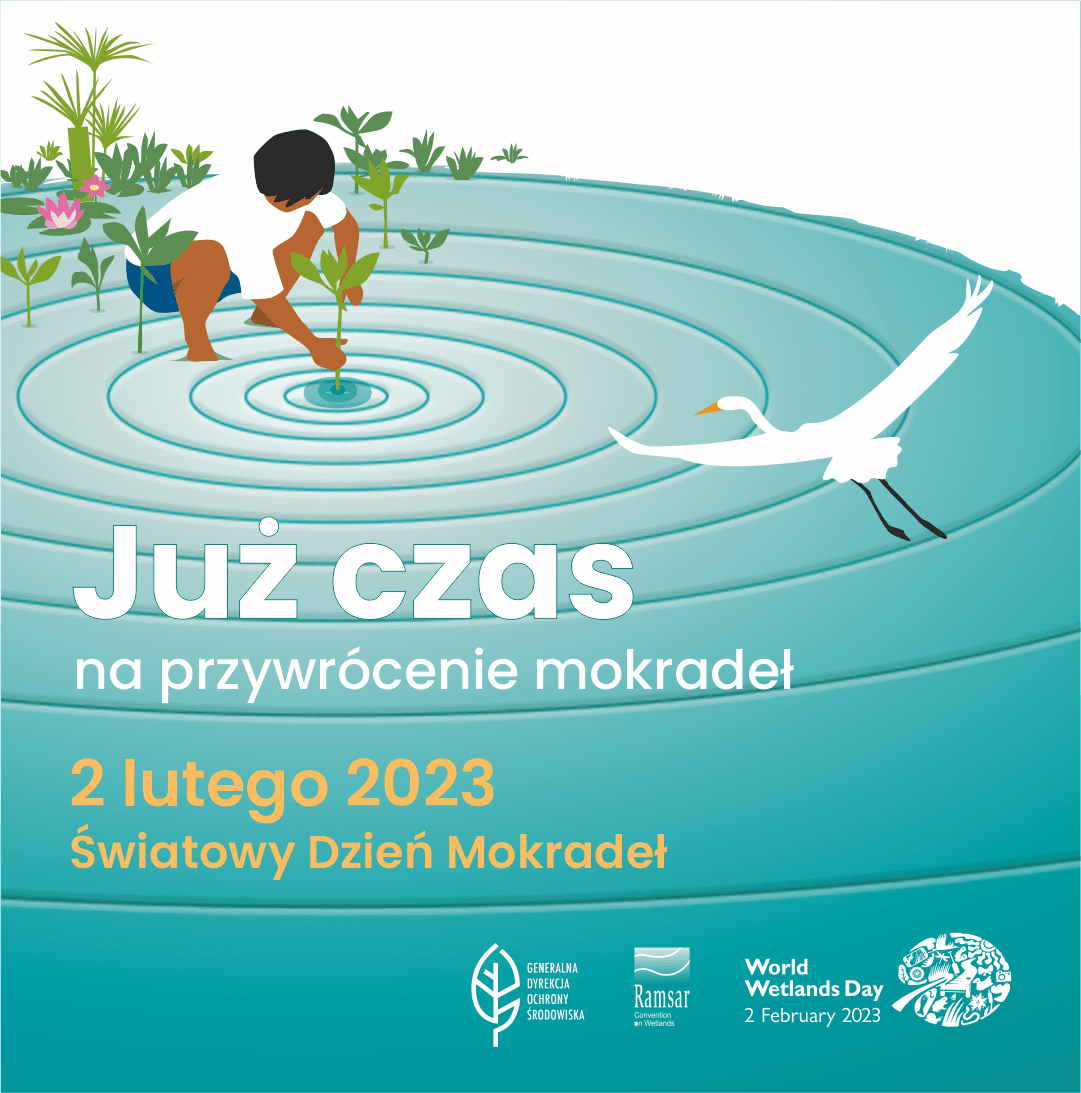 Światowy Dzień Mokradeł – 2 lutego 2023 r.
