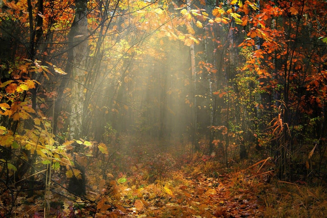 „Szlak pamięci po słupskiej nekropolii"
